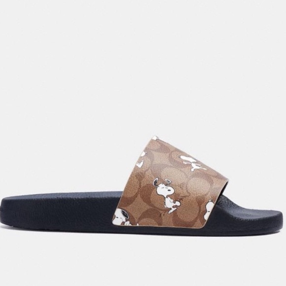 COACH X PEANUTS SLIDE WITH SNOOPY PRINT - Picture 2 of 4